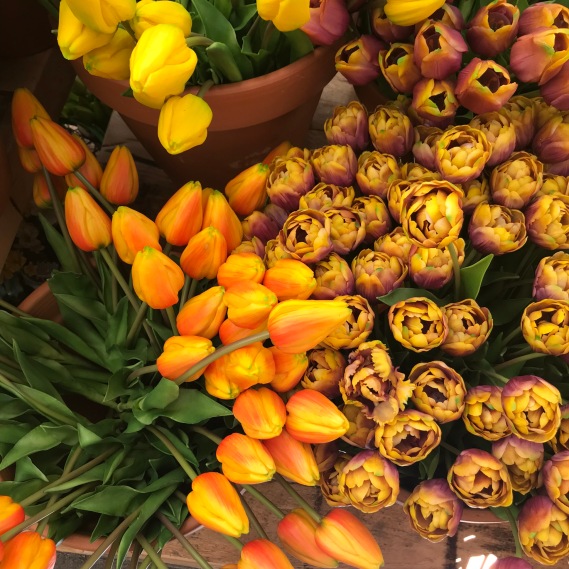 Marché aux fleurs Amsterdam Bloemenmarkt