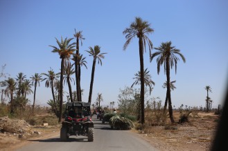 La palmeraie Marrakech